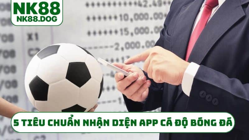 5 tiêu chuẩn nhận diện app cá độ bóng đá uy tín
