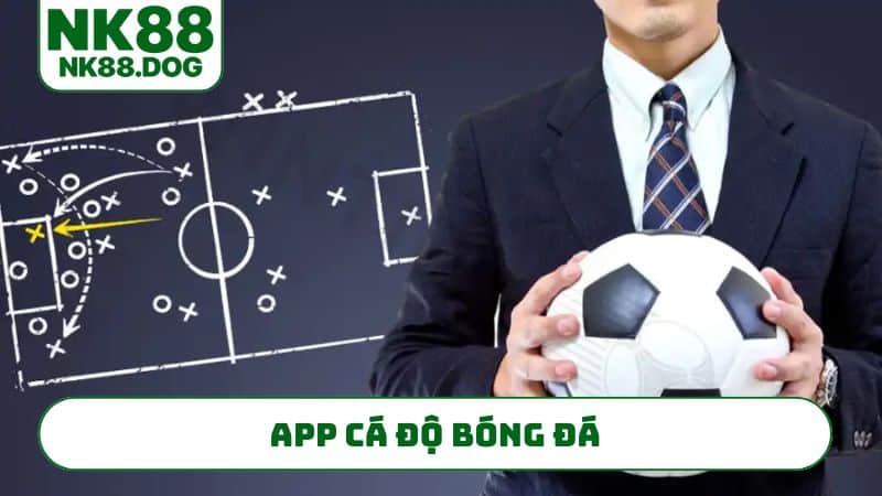 app-ca-do-bong-da