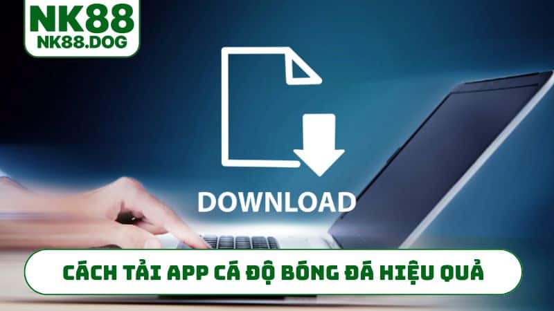 5 tiêu chuẩn nhận diện app cá độ bóng đá uy tín