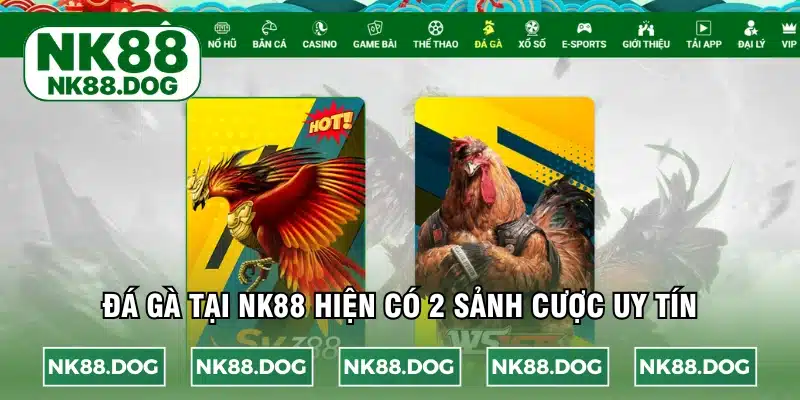 Đá gà tại NK88 hiện có 2 sảnh cược uy tín