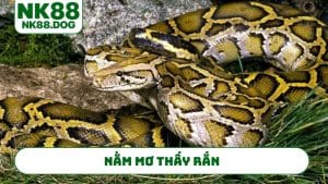 nam-mo-thay-ran