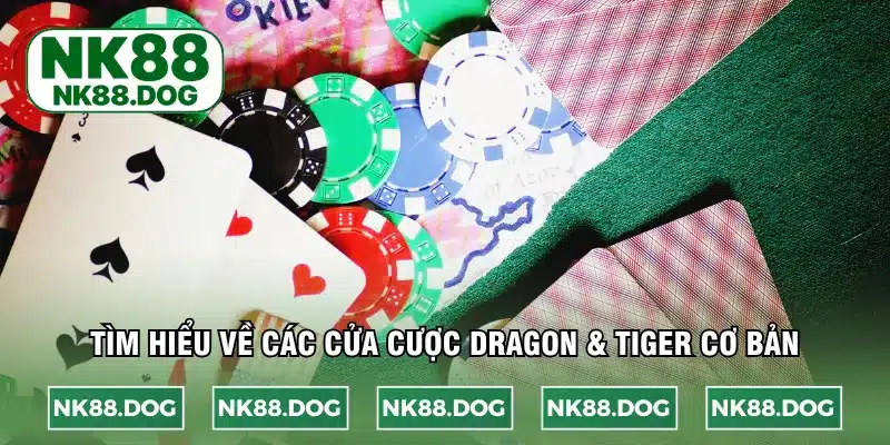 Tìm hiểu về các cửa cược Dragon & Tiger cơ bản